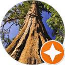 Carmen Crum profile picture